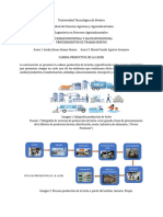 Procedimientos de Trabajo Seguro