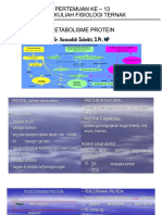 Metabolisme Protein