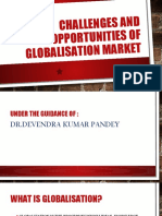 Challenges and Opportunities of Globalisation Market