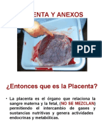 Fisiologia de La Placenta