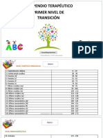 Primer Nivel de Transición PDF
