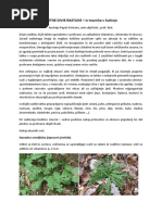 Magdalena Pleiweis - Slovenska Kuharica | PDF