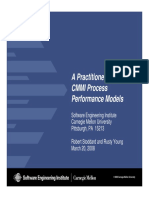 A Practitioner View of PPM