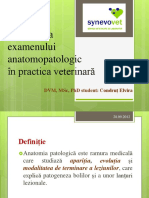 Importanta Examenului Anatomopatologic in Practica Veterinara