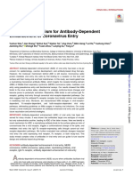 Molecular Mechanism For Antibody-Dependent Enhancement of Coronavirus Entry