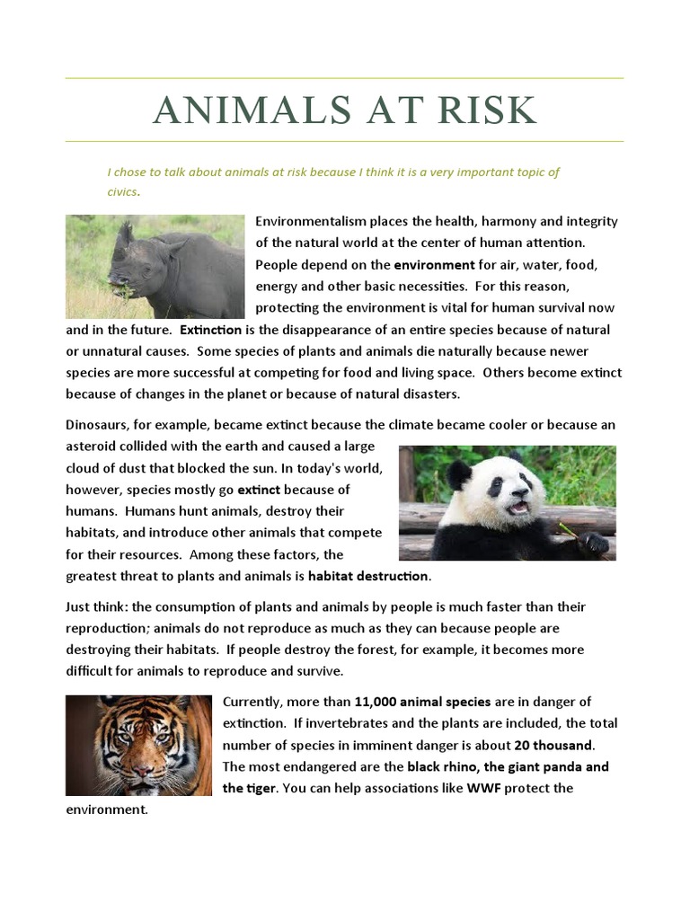Animals at Risk | PDF | Extinction | Natural Environment