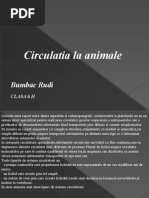 Circulatia La Animale