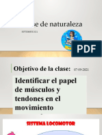 Clase de Naturaleza - Músculos y Tendones