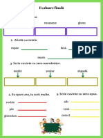 Evaluare Finală CLR