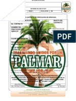 INFORME Adulto Mayor San Jose Del Palmar