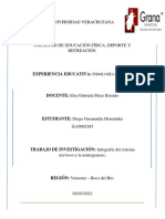 Infografía Del Sistema Nervioso y La Neurogenesis