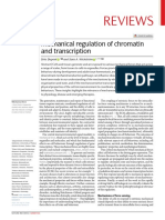 Reviews: Mechanical Regulation of Chromatin and Transcription