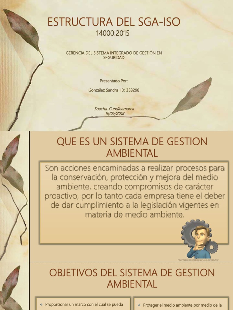 Estructura Del SGA | PDF | Planificación | Liderazgo