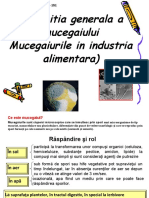 Microbiologie Mucegaiuri