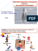 Fisio Celula 1