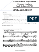 Clarinet/Bass Clarinet: Richmond Symphony Youth Orchestra (RSYO)