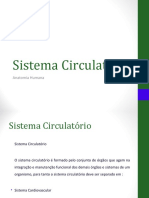 Sistema Circulatório