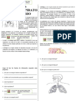 Ficha - CyT - El Sistema Respiratorio