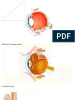 Diagnose CNervSystemet