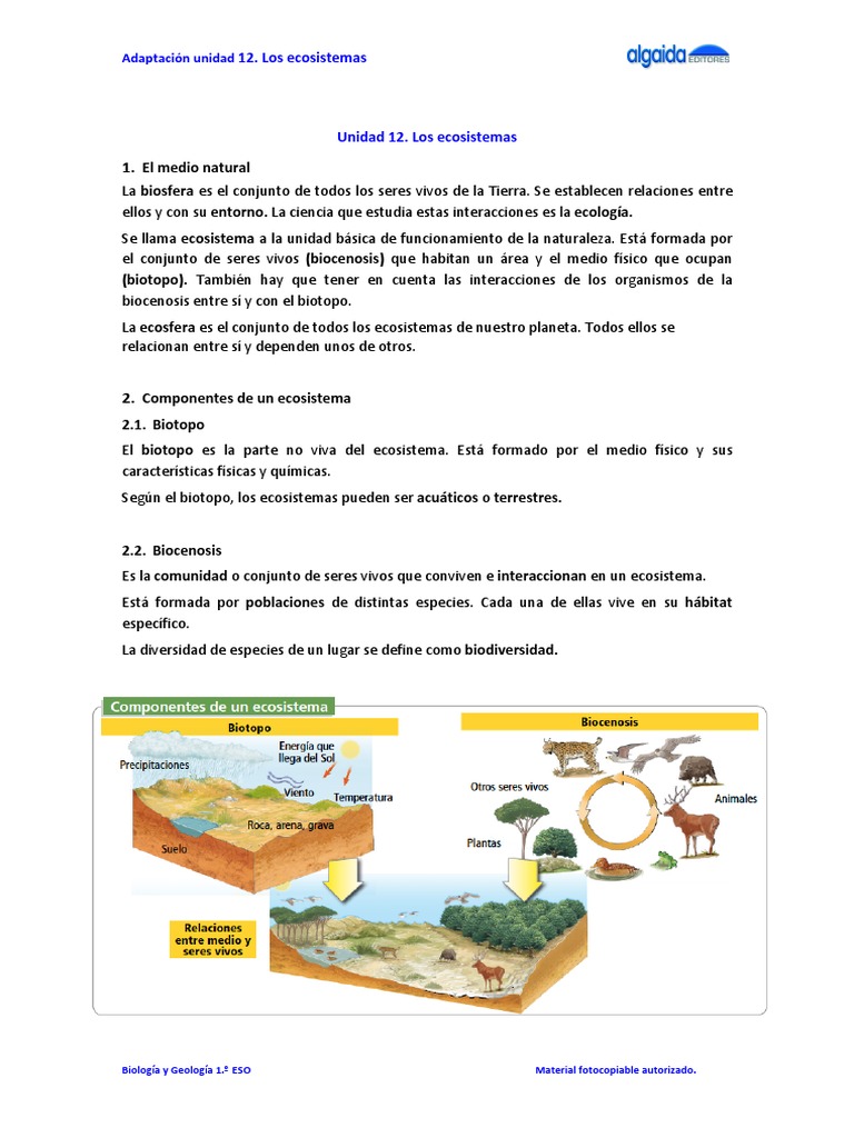 1 Eso Ecosistemas | PDF | Ecosistema | Ecología