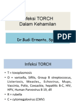 4.infeksi TORCH Dalam Kehamilan