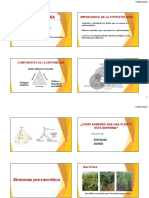 Practica 2 Sintomas