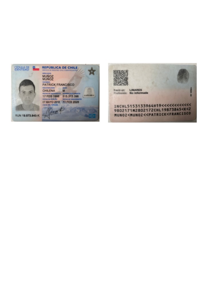 Copia Carnet Patrick Muñoz | PDF