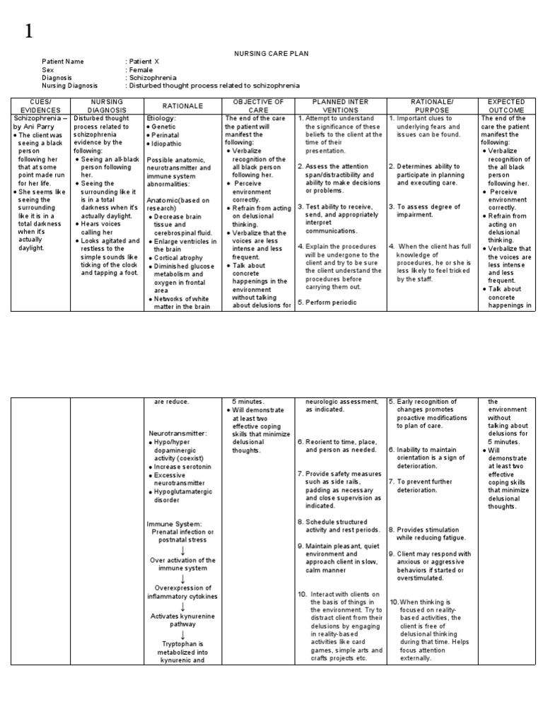 Nursing Care Plan for Schizophrenia | PDF | Delusion | Schizophrenia
