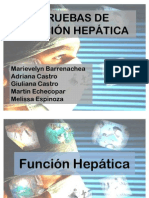 Seminario P. Hepaticas