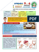 CTA 3° 4° Experiencia 8 Actividad 3.pdf Versión 1