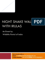 Night Snake Walk with Irulas