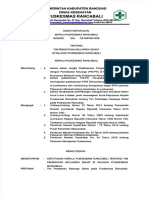 PDF SK Tim Pispk 2019doc DL