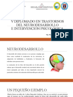 Diplomado en trastornos del neurodesarrollo y su intervención