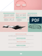 Infografía de Contabilidad