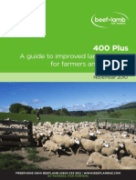 NZ Gov Sheep 400-Plus-Guide
