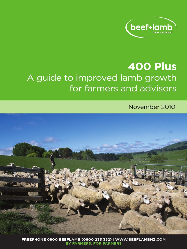 NZ Gov Sheep 400-Plus-Guide | PDF | Sheep | Agriculture