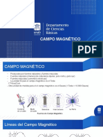 Campo Magnetico