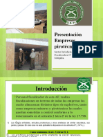 Presentación Empresas Pirotécnicas