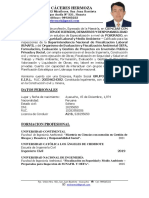 Curriculum Miguel Descriptivo