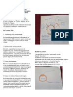 Mencione y Describa Los Mecanismos Por El Cual Se Realiza El Desarrollo Embrionario