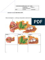 Ciencias Naturales Guia 3-2020