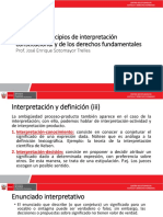 Criterios y Principios de Interpretación Constitucional y de Los Derechos Fundamentales