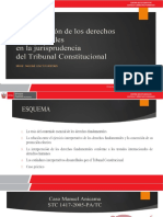 Interpretación de Los Derechos Fundamentales en La Jurisprudencia Del Tribunal Constitucional