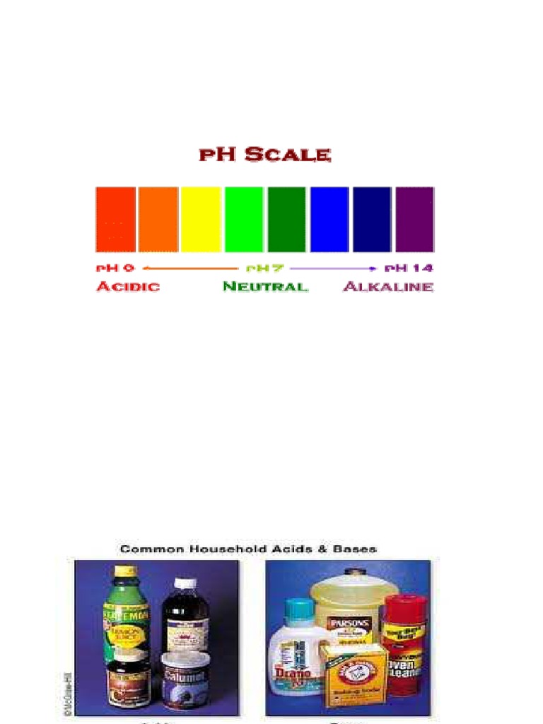 Document Structure and Content Analysis | PDF | Solution | Suspension ...