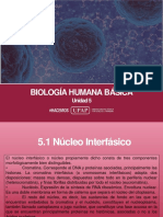 Unidad V - Presentacion - Biología Humana Básica