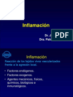 1.0 - Proceso Inflamatorio - Pato QX I