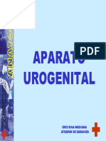 Aparato Urogenital