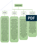 Mapa Conceptual