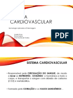 Cardiovascular 2