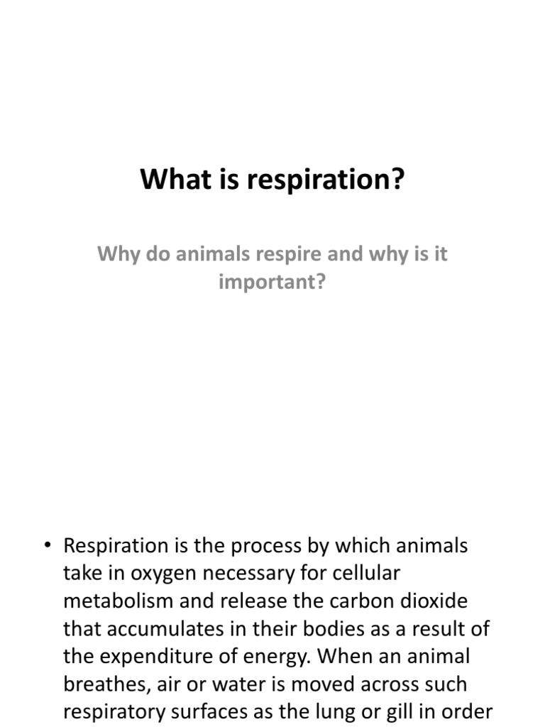 What Is Respiration Pdf Cellular Respiration Hemoglobin